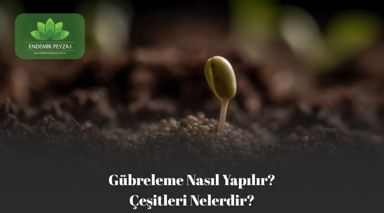 Gübreleme Nasıl Yapılır