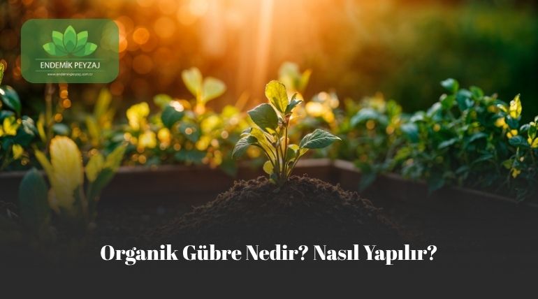 Organik Gübre Nedir