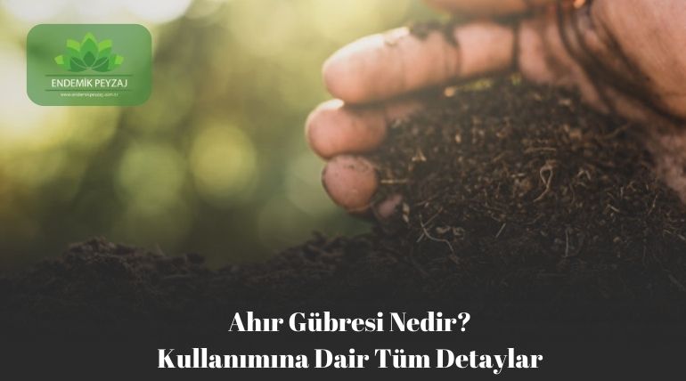 ahır gübresi nedir