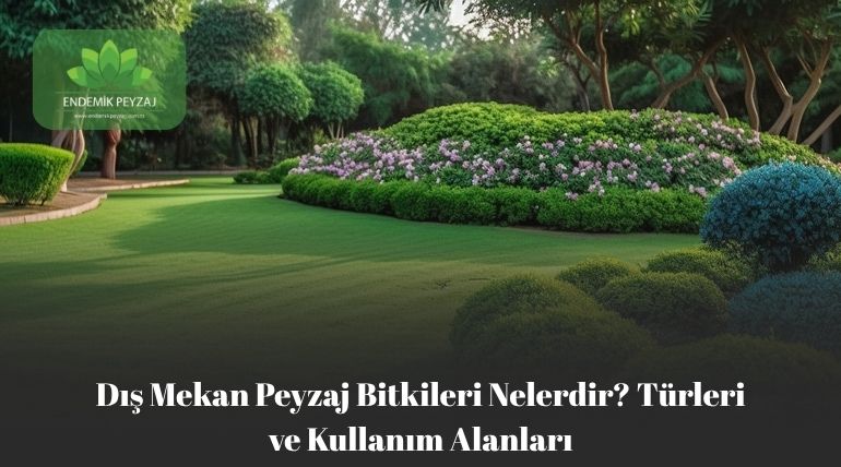 Dış Mekan Peyzaj Bitkileri