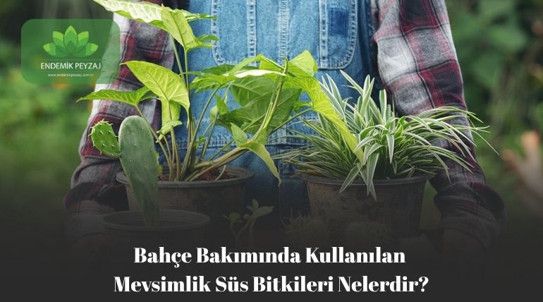 Mevsimlik Süs Bitkileri