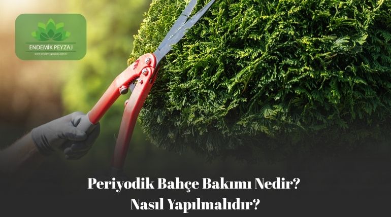 Periyodik Bahçe Bakımı