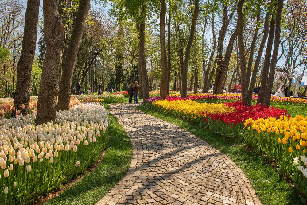 peyzaj çalışması örneği