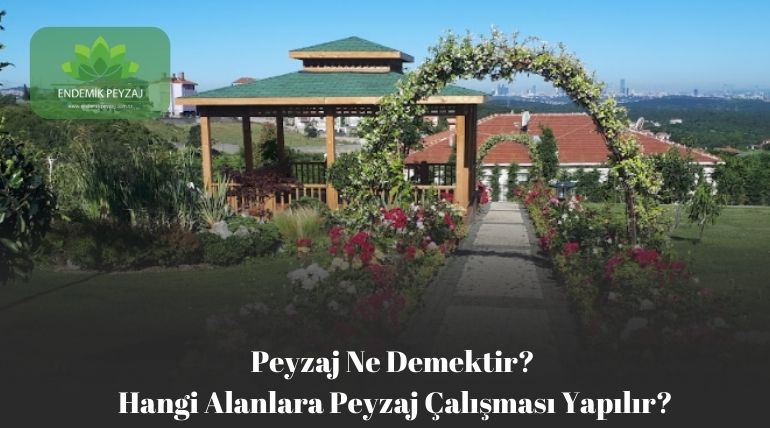 peyzaj ne demektir