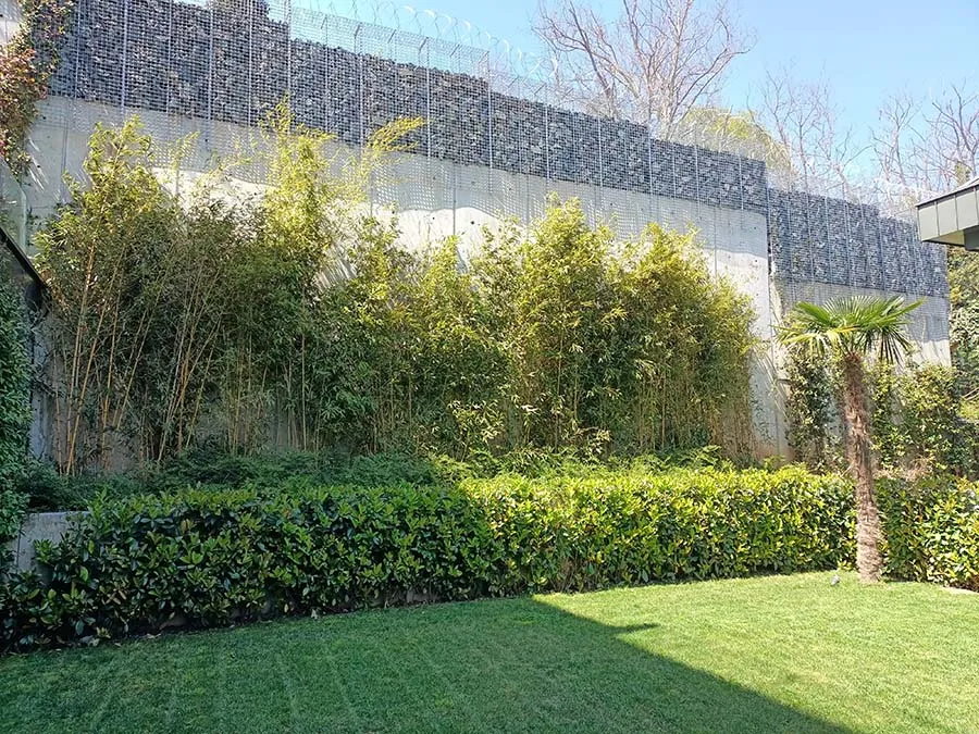 Küçük bahçe düzenlemesi örneği