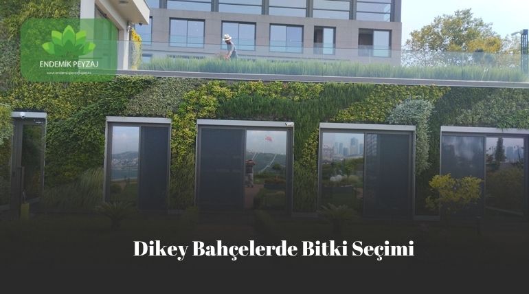 Dikey Bahçelerde Bitki Seçimi