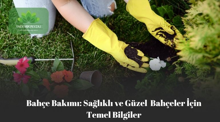 Bahçe Bakımı: Sağlıklı ve Güzel Bahçeler İçin Temel Bilgiler
