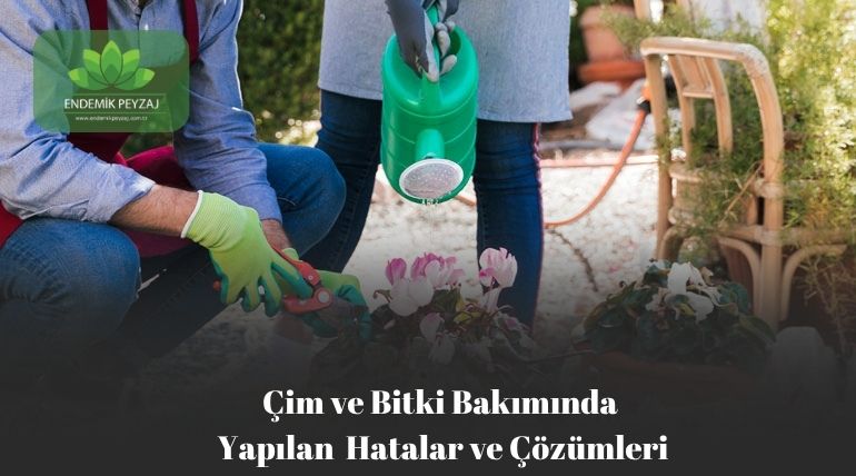 Çim ve Bitki Bakımında Yapılan Hatalar