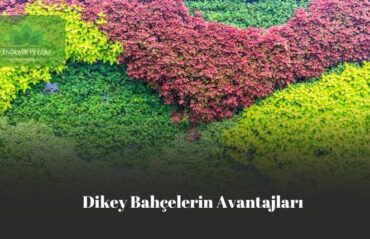 dikey bahçelerin avantajları