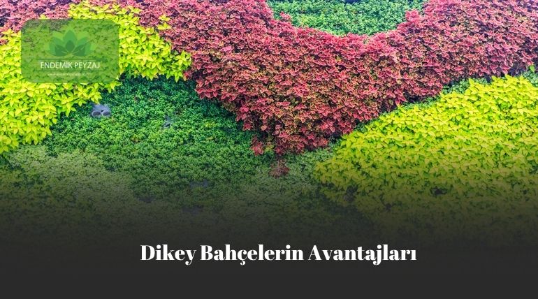 dikey bahçelerin avantajları