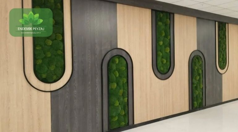 ev ve ofis için dikey bahçe seçimi