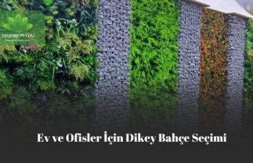 Ev ve Ofis İçin Dikey Bahçe Seçimi