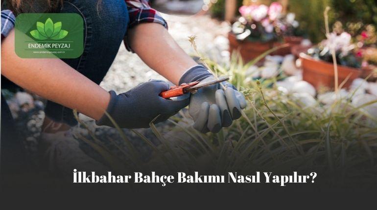 İlkbahar Bahçe Bakımı Nasıl Yapılı