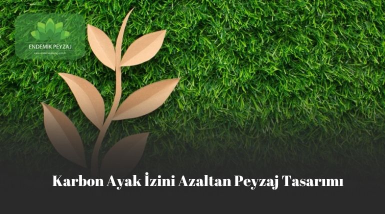 Karbon ayak izini azaltan peyzaj tasarımı