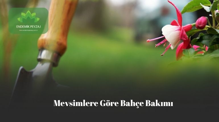 Mesvimlere Göre Bahçe Bakımı