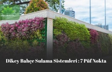 Dikey Bahçe Sulama Sistemleri