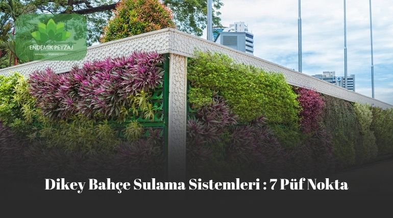 Dikey Bahçe Sulama Sistemleri