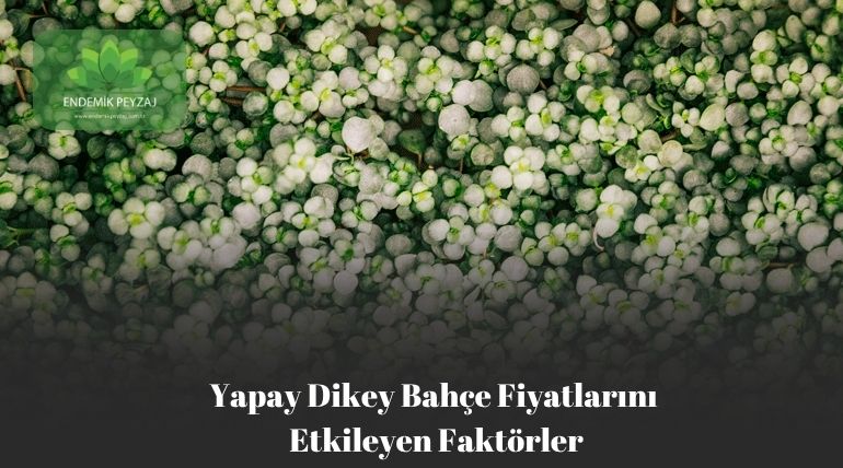 Yapay Dikey Bahçe Fiyatlarını Etkileyen Faktörler
