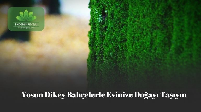 Yosun D,key Bahçelerle Evinize Doğayı Taşıyın