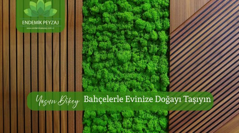 yosun dikey bahçe