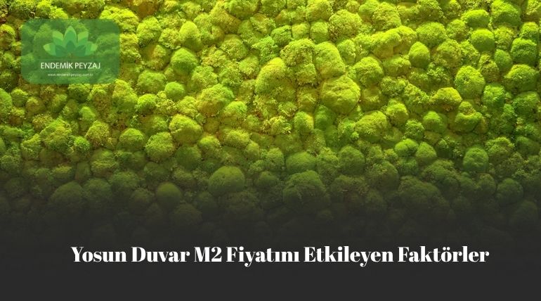 Yosun Duvar M2 Fiyatını Etkileyen Faktörler