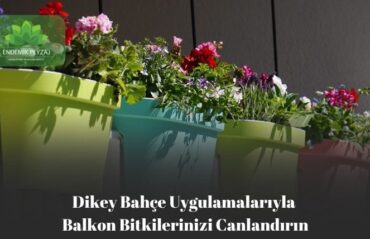 Dikey Bahçe Uygulamalarıyla Balkon Bitkilerinizi Canlandırın