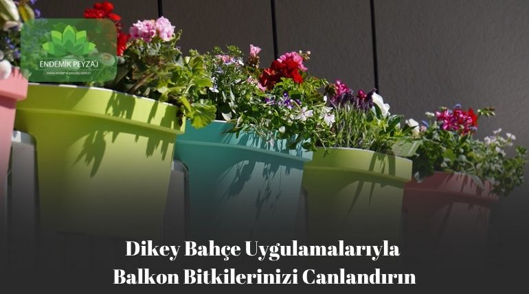 Dikey Bahçe Uygulamalarıyla Balkon Bitkilerinizi Canlandırın