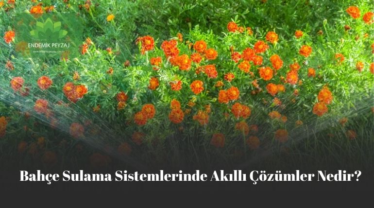 bahçe sulama sistemleri
