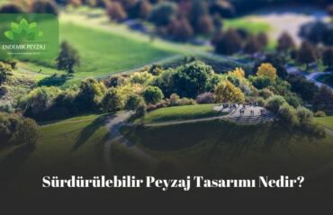 surdulebilir peyzaj tasarımı