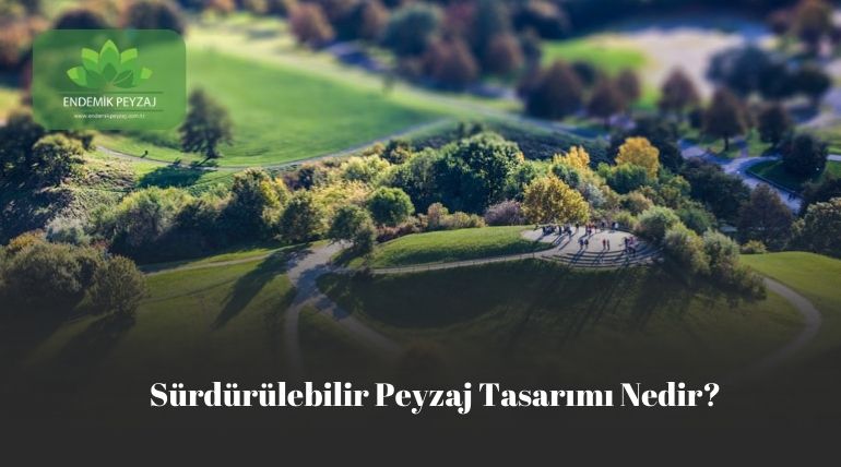 surdulebilir peyzaj tasarımı