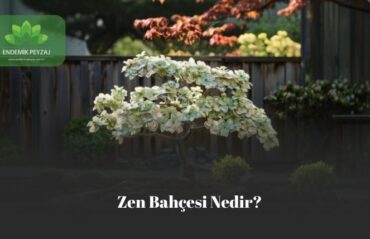 zen bahçesi nedir