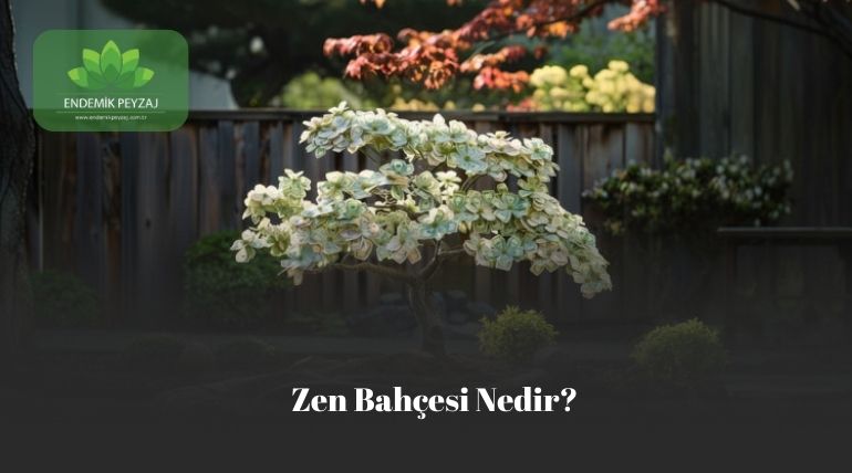zen bahçesi nedir