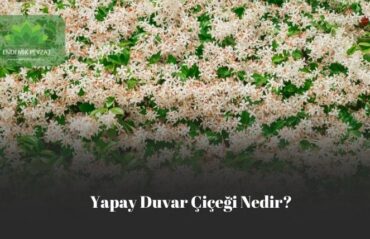 yapay duvar çiçeği