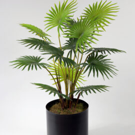 Yapay Palmiye 80 cm