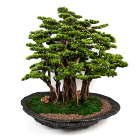 Yapay Bonsai Ağacı 130cm