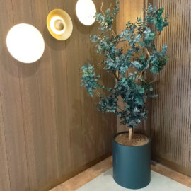 şoklanmış okaliptus model-1 180cm