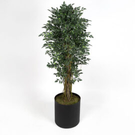 Yapay Benjamin Ağacı 180 cm