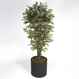 Yapay Benjamin Çiçeği Model-1 160cm