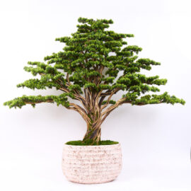 yapay bonsai 170 cm saksılı model -1